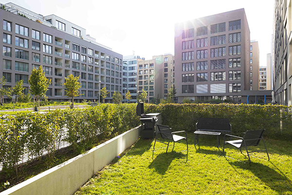 office garden